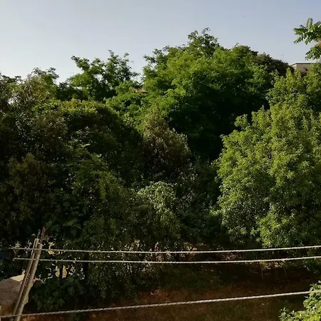 Apartment Orto Schinosa